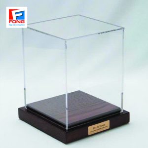 Hộp chụp mica